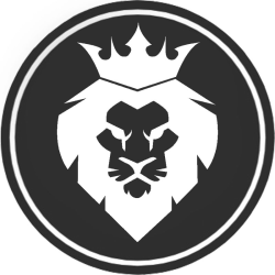 Lionsneakers.ru – интернет-магазин кроссовок и одежды